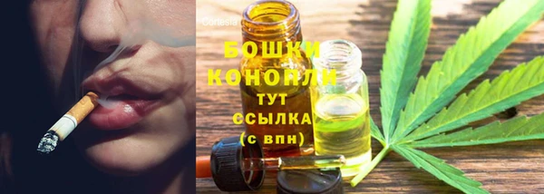 дживик Ельня