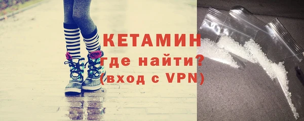 дживик Ельня