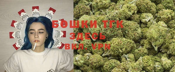 дживик Ельня