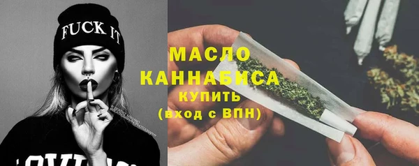 дживик Ельня