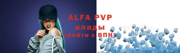 дживик Ельня