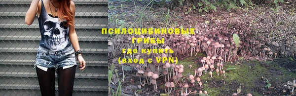 прущая мука Елизово