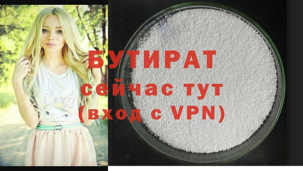 дживик Ельня