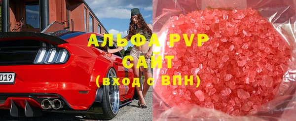 дживик Ельня