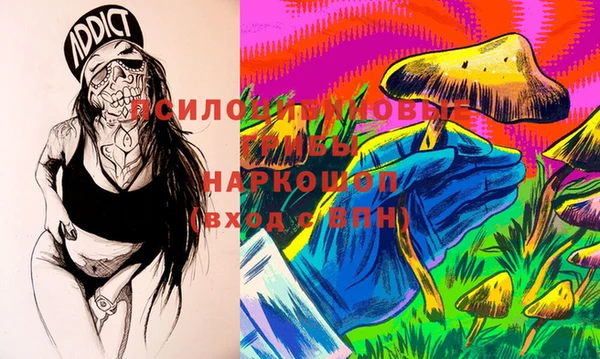 дживик Ельня
