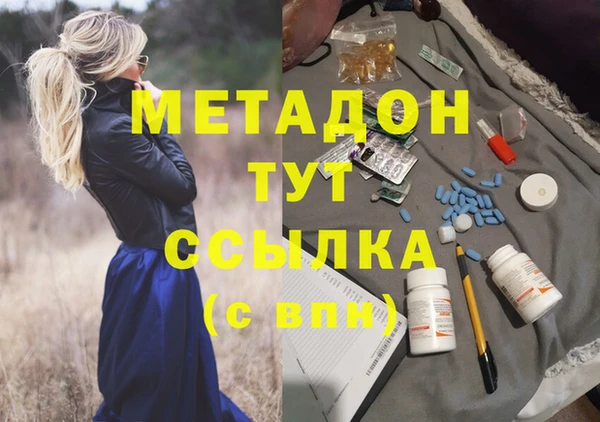 дживик Ельня