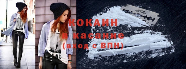 дживик Ельня