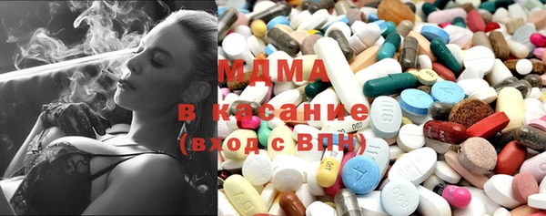 дживик Ельня