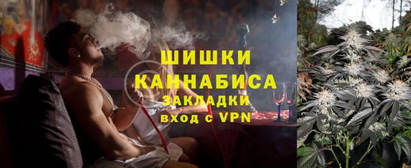 дмт Дмитриев
