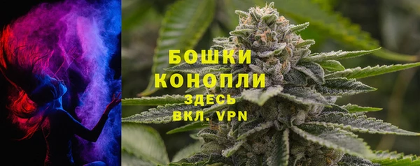 дживик Ельня