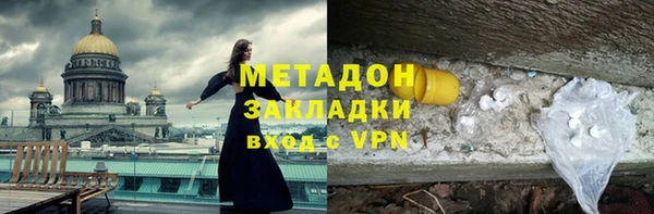 дживик Ельня