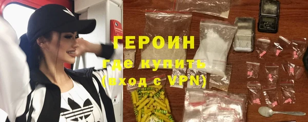 дживик Ельня