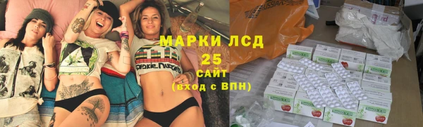 дживик Ельня