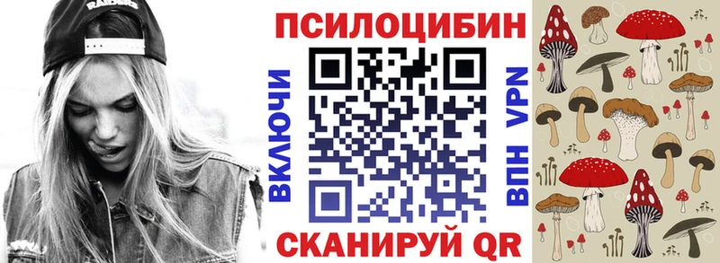 купить закладку  Жуковский  Псилоцибиновые грибы мухоморы 